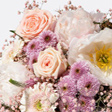 Blume2000
